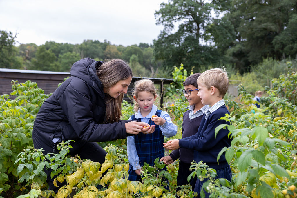 A teacher at Horris Hill School with three students in the school's Kitchen Garden. She is showing them some fruit that has been grown in the Kitchen Garden