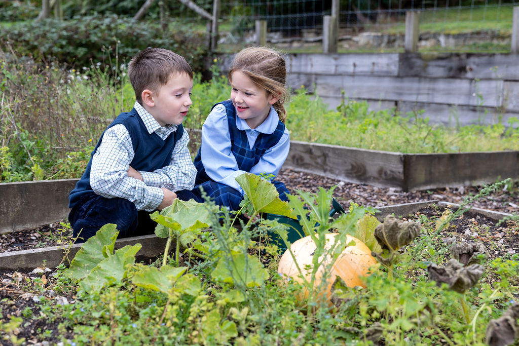 Children in the kitchen garden